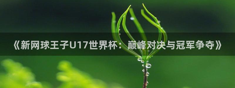 世界杯预选赛：《新网球王子U17世界杯：巅峰对决与冠军争夺》