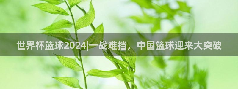 2026世界杯赛：世界杯篮球2024|一战难挡，中国篮球迎来大突破