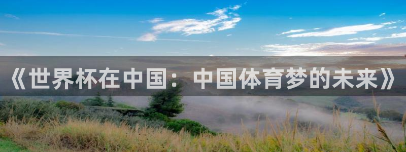 2026世界杯直播免费观看：《世界杯在中国：中国体育梦的未来》