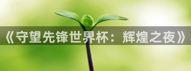 2026世界杯德国队阵容：《守望先锋世界杯：辉煌之夜》