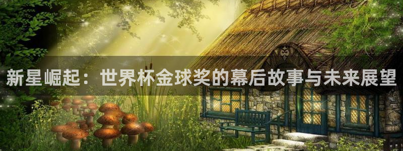 世界杯对阵图2026：新星崛起：世界杯金球奖的幕后故事与未来展望
