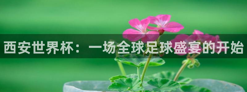 世界杯比赛：西安世界杯：一场全球足球盛宴的开始