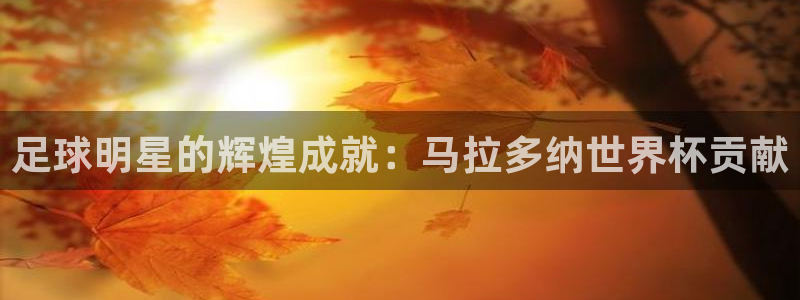 世界杯直播观看：足球明星的辉煌成就：马拉多纳世界杯贡献