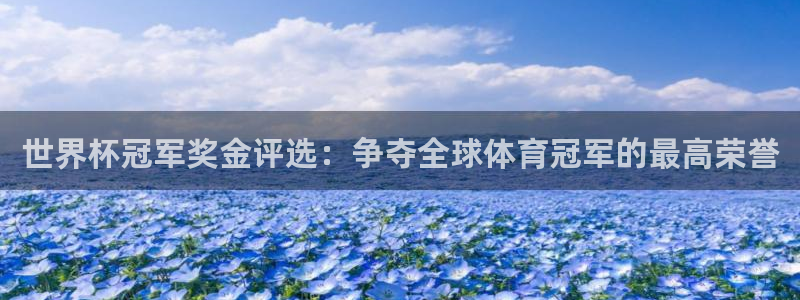 世界杯赛程时间表：世界杯冠军奖金评选：争夺全球体育冠军的最高荣誉