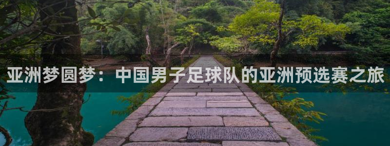 世界杯对阵表：亚洲梦圆梦：中国男子足球队的亚洲预选赛之旅