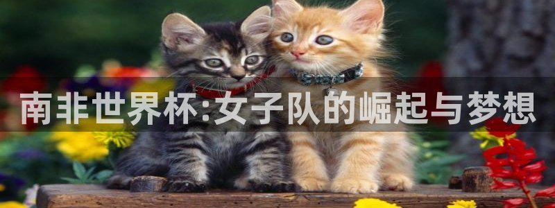 世界杯官网入口：南非世界杯:女子队的崛起与梦想