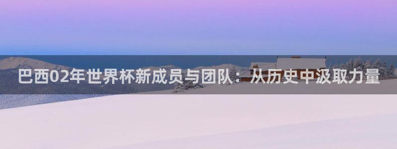 2026世界杯赛程时间表最新：巴西02年世界杯新成员与团队：从历史中汲取力量