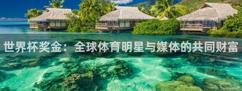 澳门世界杯直播：世界杯奖金：全球体育明星与媒体的共同财富